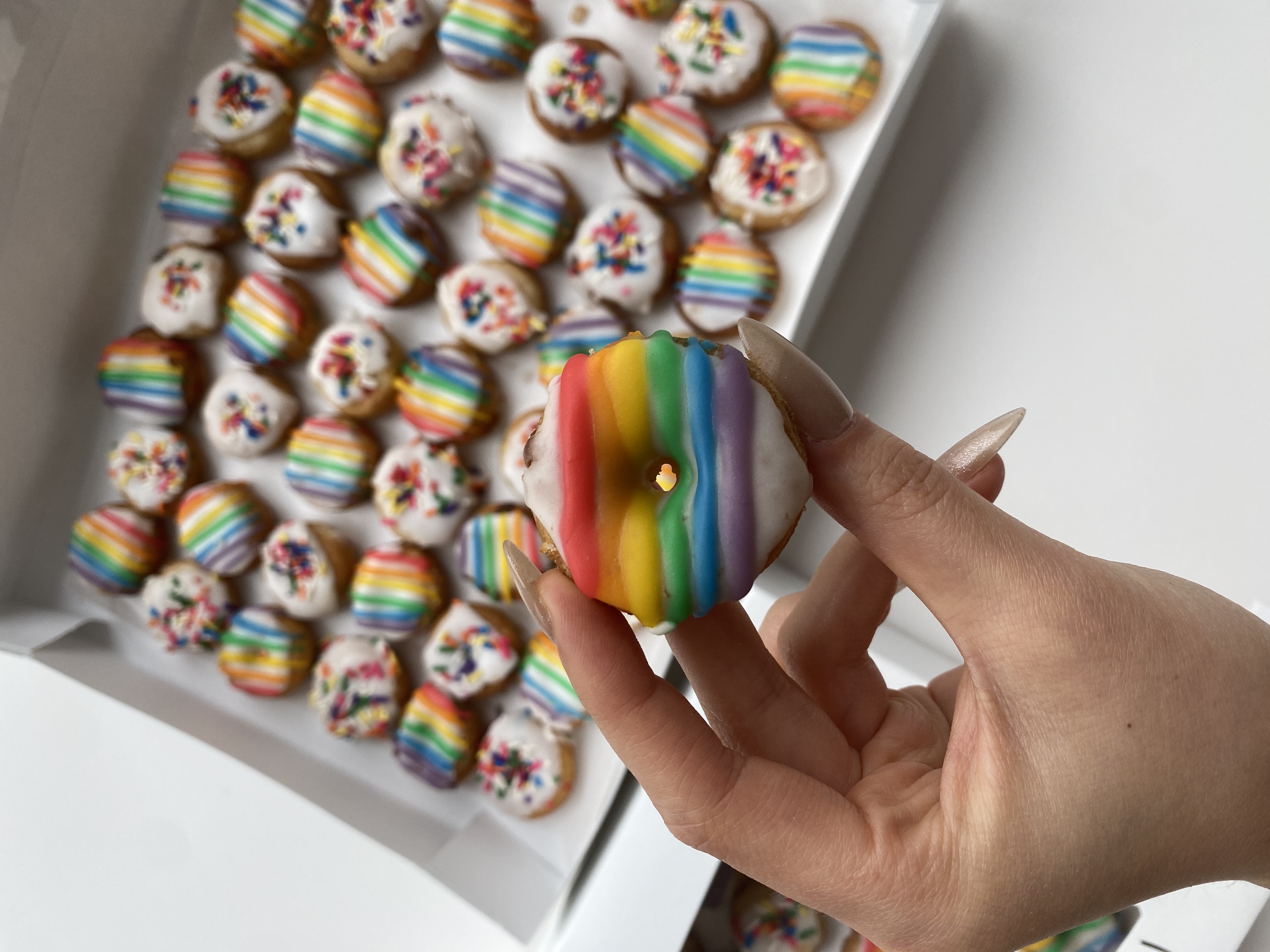 Adorable mini pride donuts (including vegan ones!) for Reddit's office celebration.